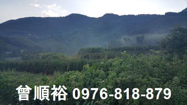 新竹五峰農地-6