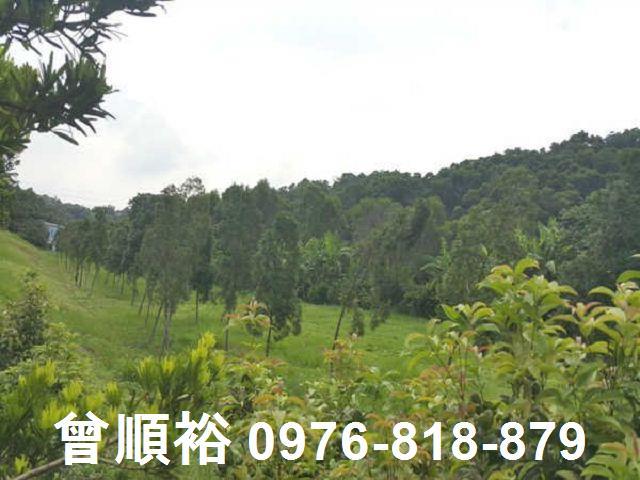 頭份農地-4