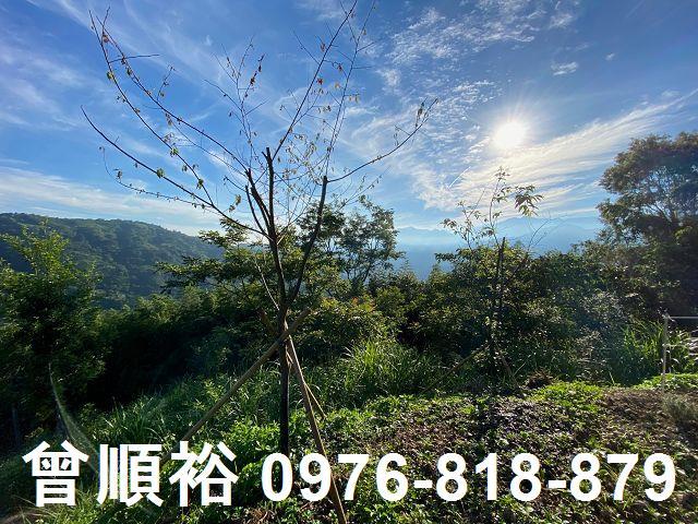 新竹尖石農地-5