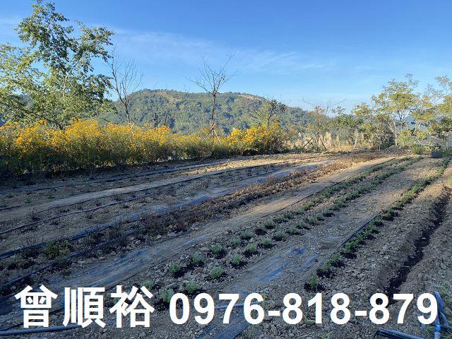 新竹尖石農地-10