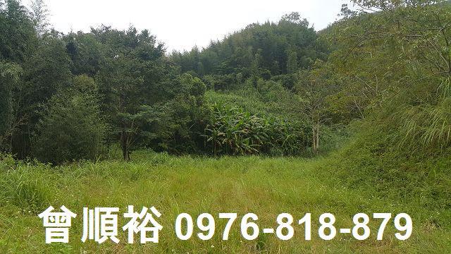 新竹尖石農地-0
