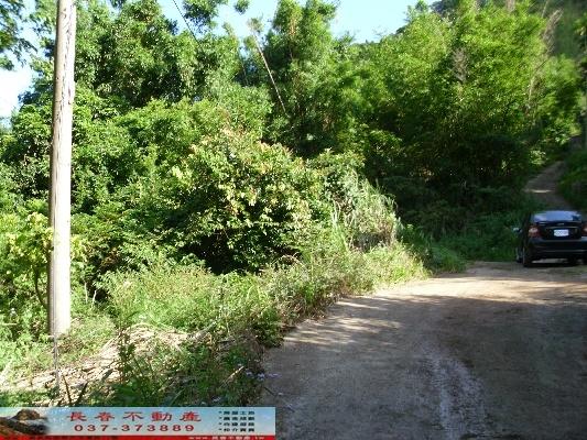 大湖農地-7