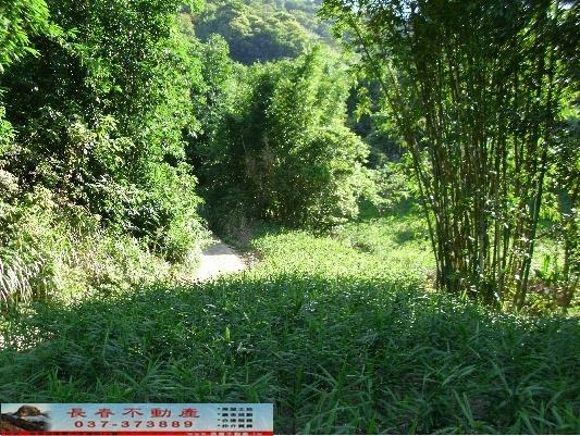 大湖農地-2