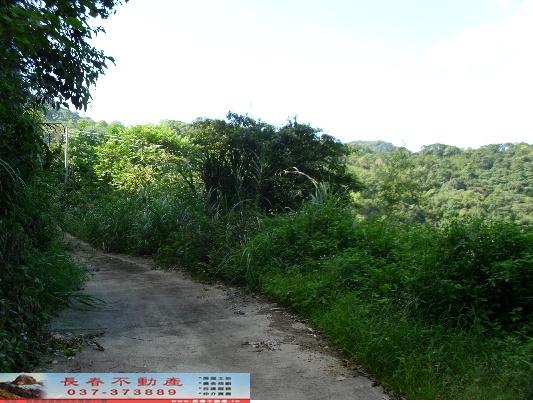 大湖農地-9