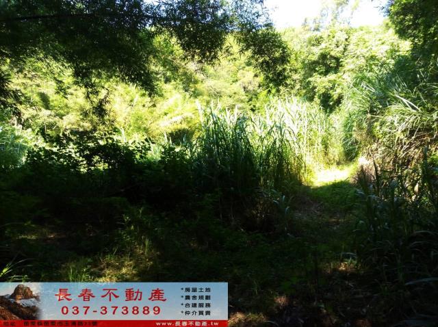 頭屋農地-3