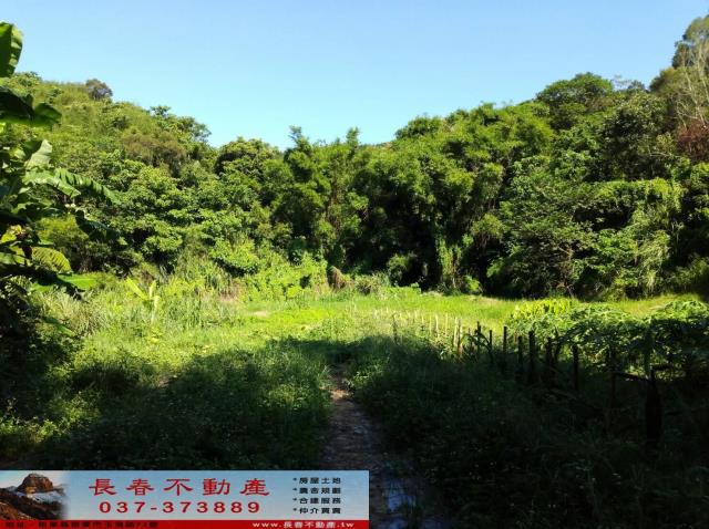 頭屋農地-6
