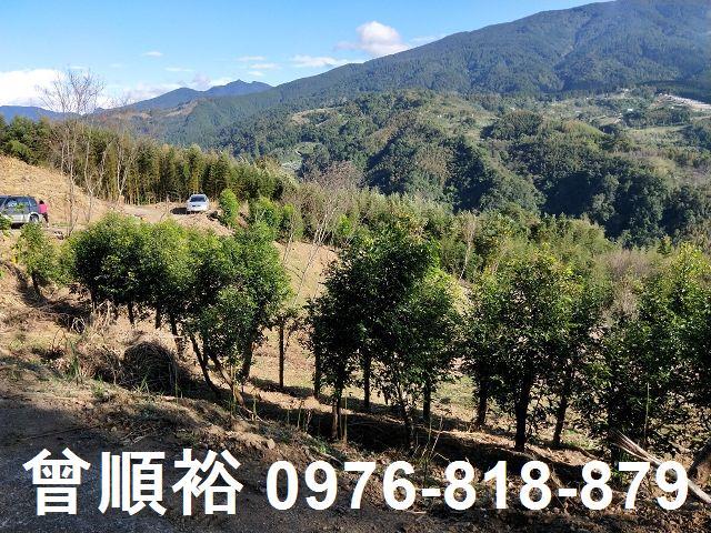 新竹五峰農地-9