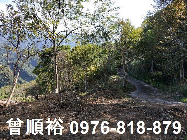 新竹五峰農地-7