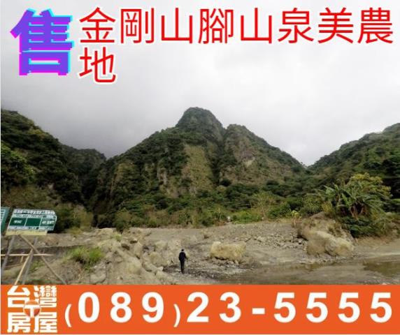 台東農地台東房地產台東土地買賣台東房仲台東仲介海岸線農地