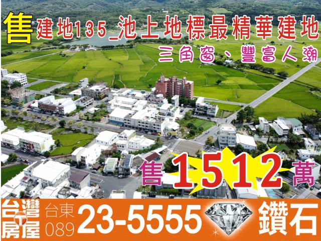 台東建地-1