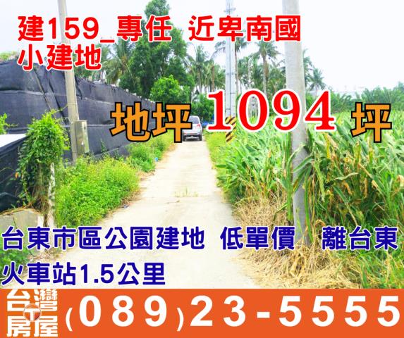 台東市建地-0