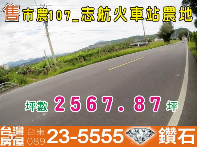 台東台東市農地-0