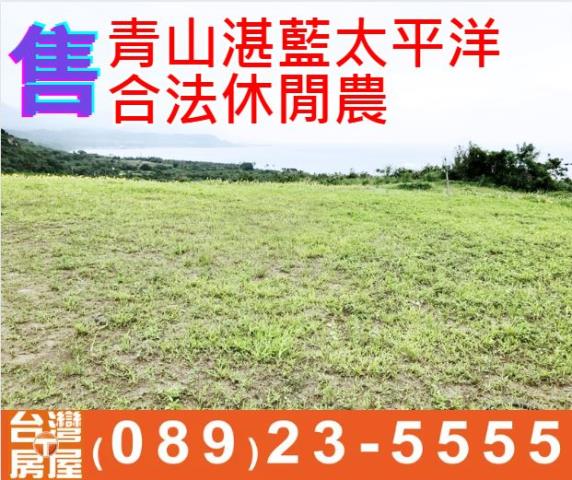 台東農地台東房地產台東土地買賣台東房仲台東仲介海岸線農地