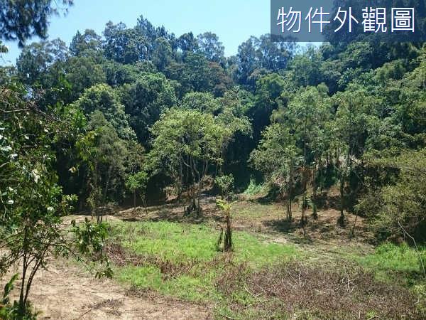 新竹休閒地-1