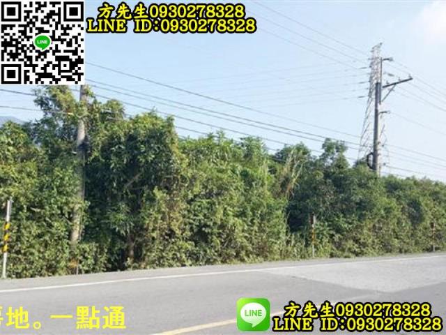 新埤農地-3