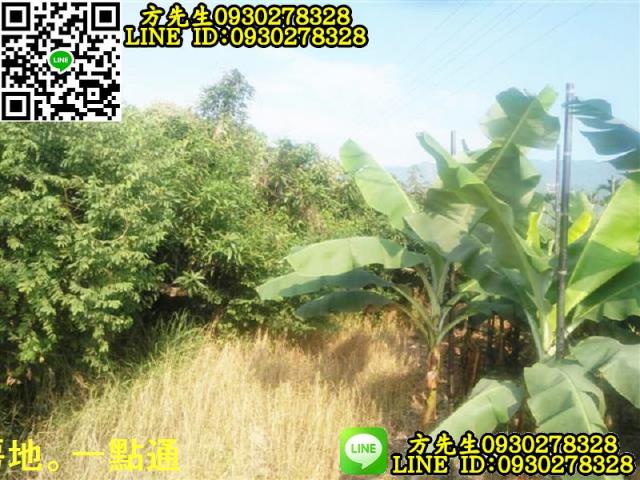 新埤農地-4