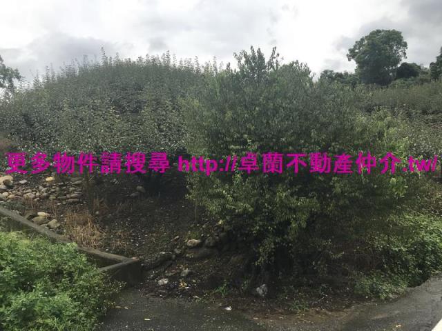 卓蘭農地-5