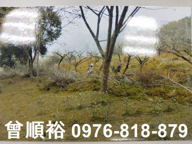 五峰農地-0