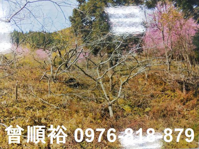 五峰農地-2