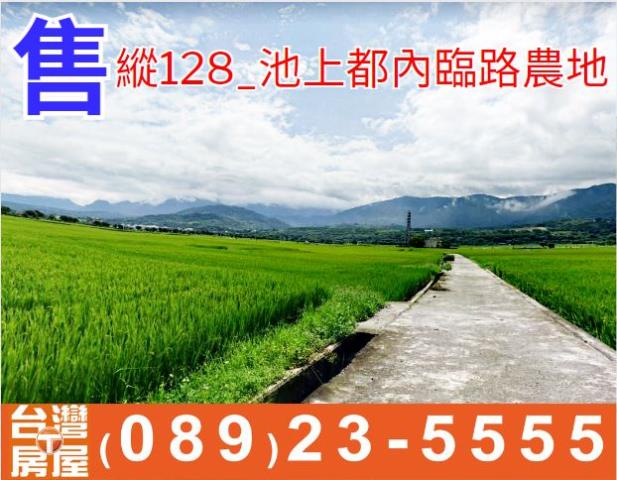 台東農地台東房地產台東土地買賣台東房仲台東仲介