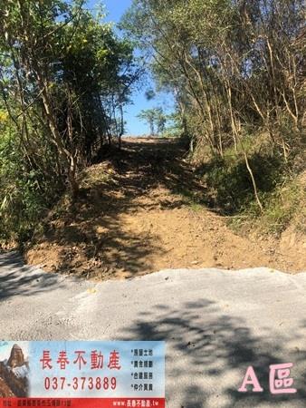 公館農地-7