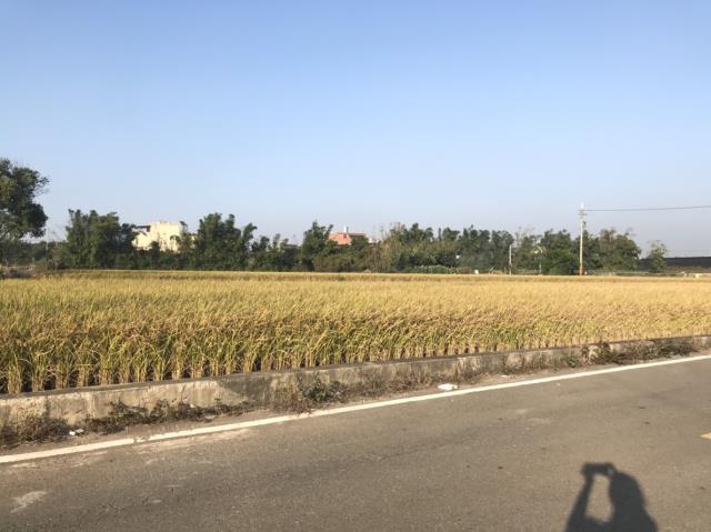 后里田建-5