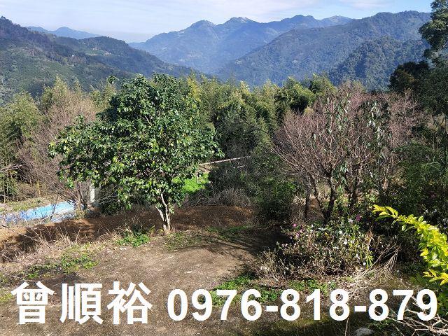 新竹農地-7