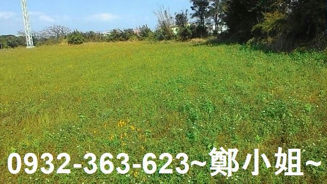 桃園新屋農地-5