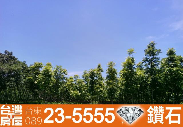 台東鹿野農地-10