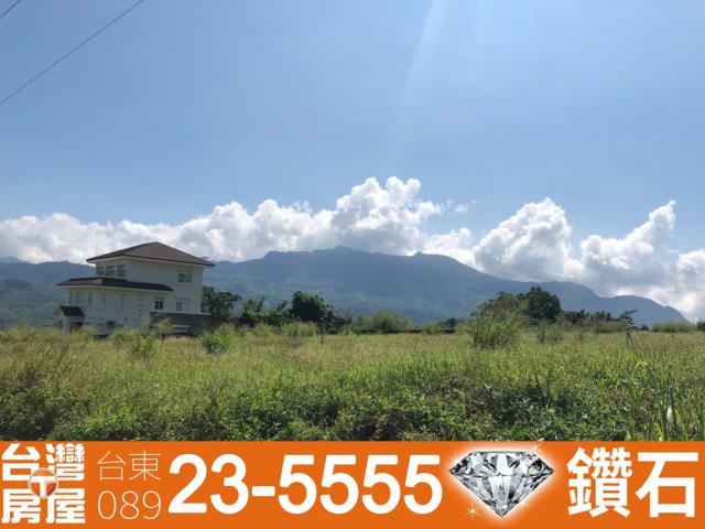 台東鹿野農地-7
