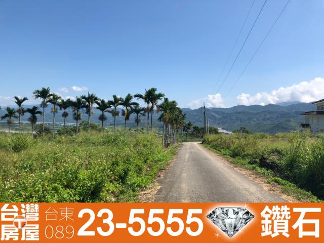 台東鹿野農地-9
