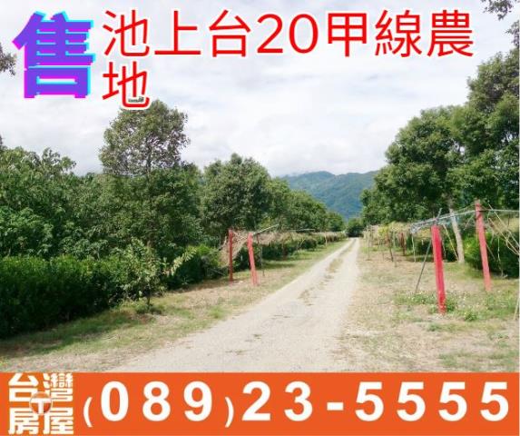 台東農地台東房地產台東土地買賣台東房仲台東仲介