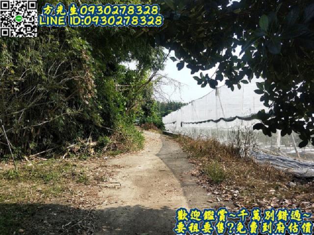 楠西農地-1