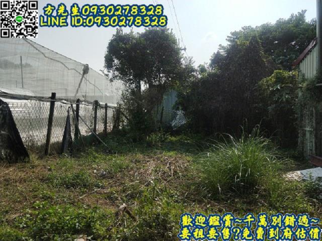 楠西農地-7