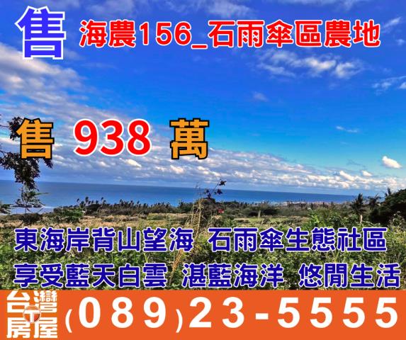 台東農地台東房地產台東土地買賣台東房仲台東仲介海岸線農地