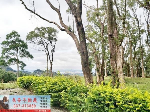 苗栗農地-3