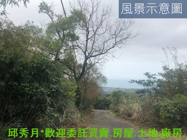 新北三芝農地-2