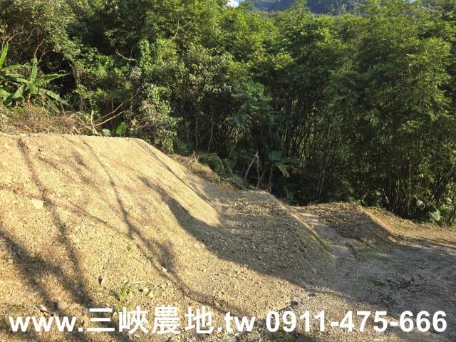 三峽農地-4