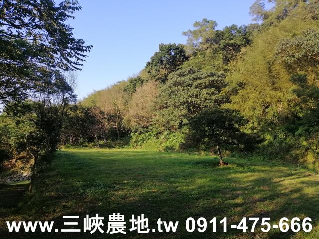 新北三峽農地-0