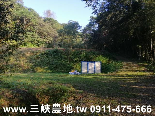 新北三峽農地-4