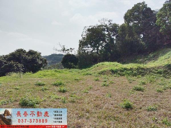 苗栗建地-0