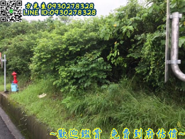 台南農地-5