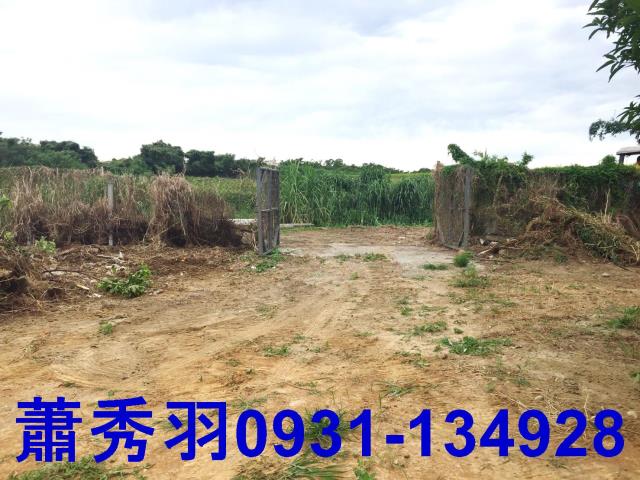 台中后里農地-1