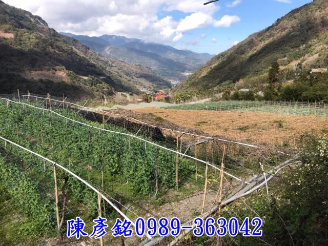 南投信義鄉休閒地-0