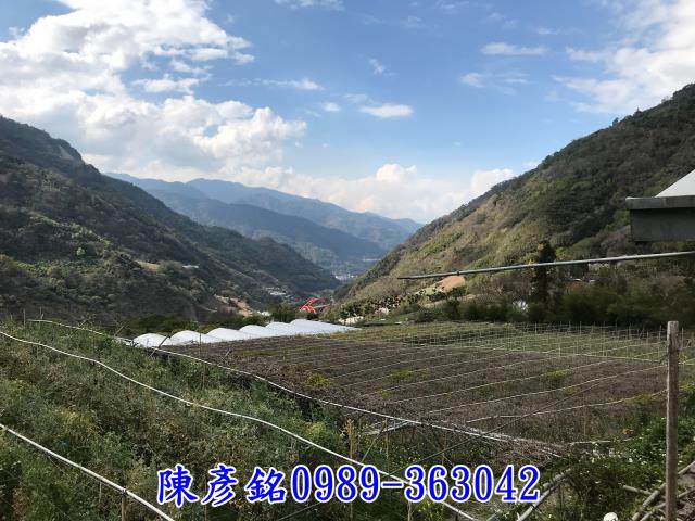 南投信義鄉休閒地-2