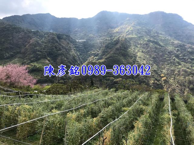 南投信義鄉休閒地-4