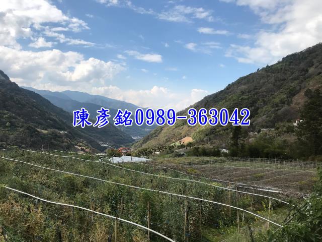 南投信義鄉休閒地-5