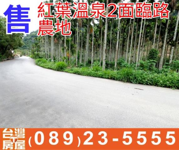 台東農地台東房地產台東土地買賣台東房仲台東仲介縱谷農地
