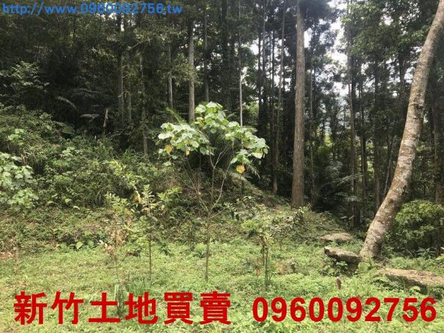 尖石農地-13
