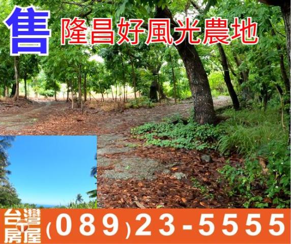台東東河農地-1